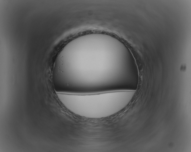 X0000096631495200802050921