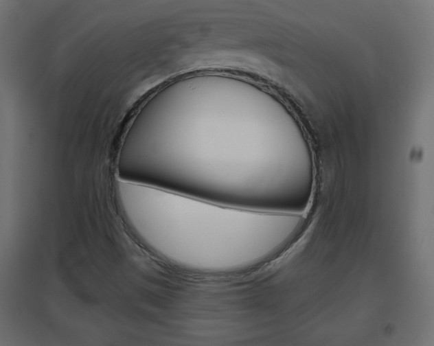 X0000096631497200802050921