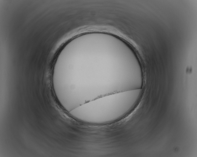 X0000096631498200802050921
