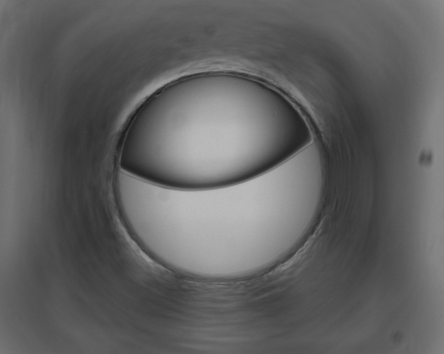 X0000096631500200802050921