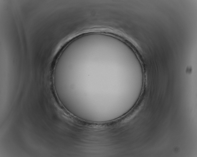 X0000096631501200802050921
