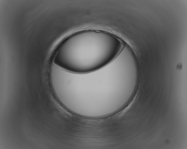 X0000096631502200802050921
