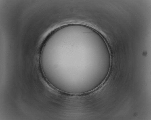 X0000096631503200802050921