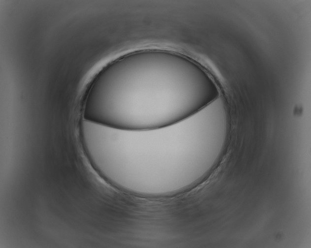 X0000096631504200802050921