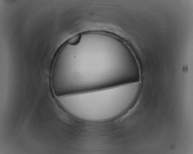X0000096631505200802050921