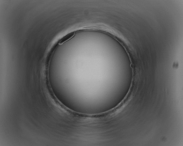 X0000096631506200802050921