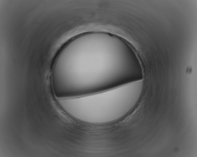 X0000096631507200802050921