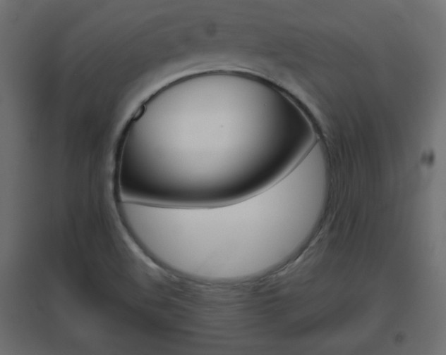 X0000096631508200802050921