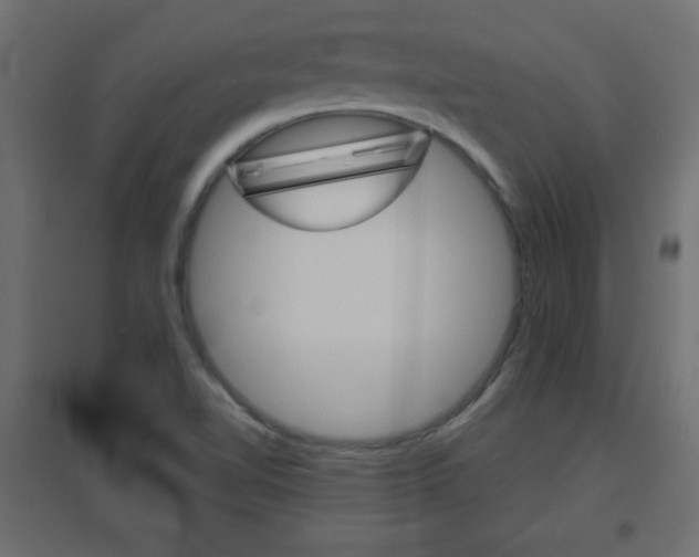 X0000096631510200802050921