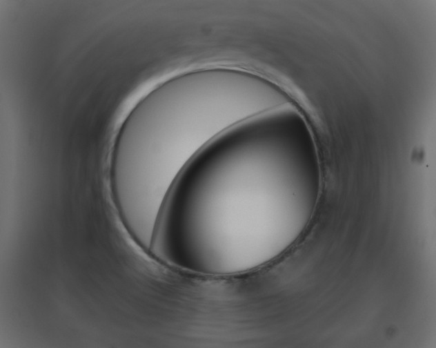 X0000096631512200802050921