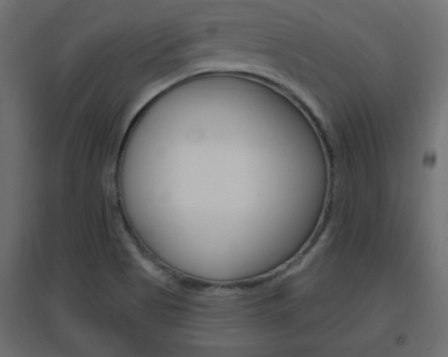 X0000096631513200802050921