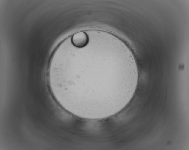 X0000096631514200802050921