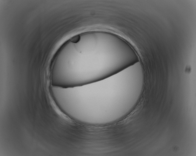 X0000096631515200802050921