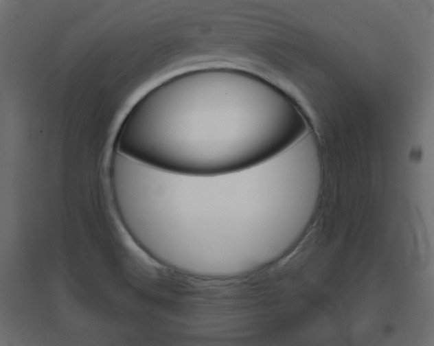 X0000096631516200802050921