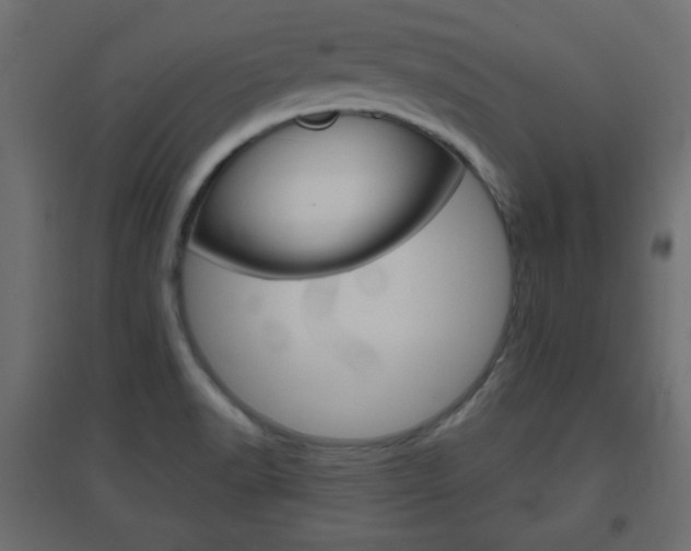 X0000096631518200802050921