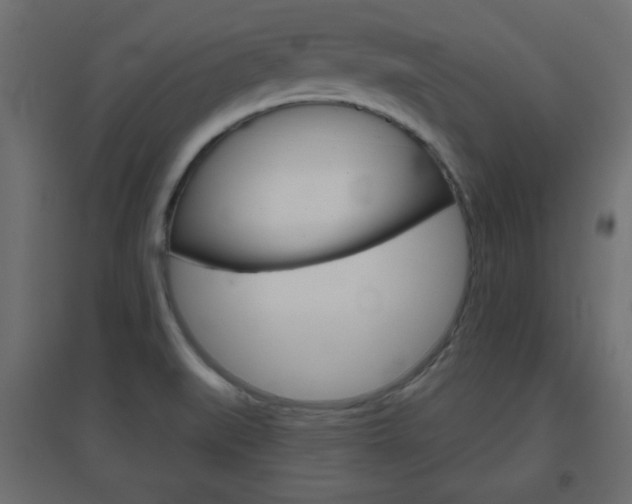 X0000096631519200802050921