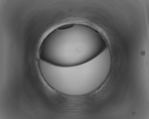 X0000096631520200802050921