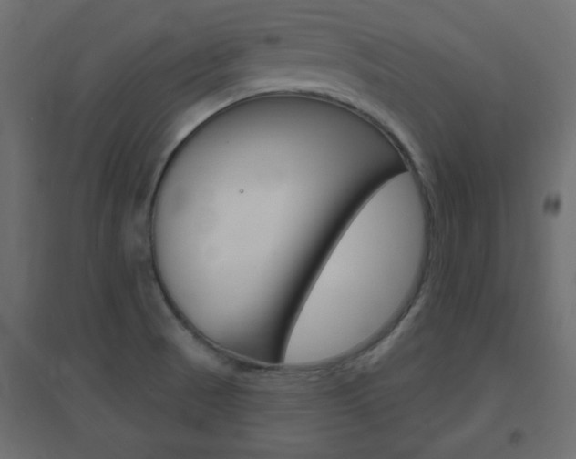 X0000096631521200802050921