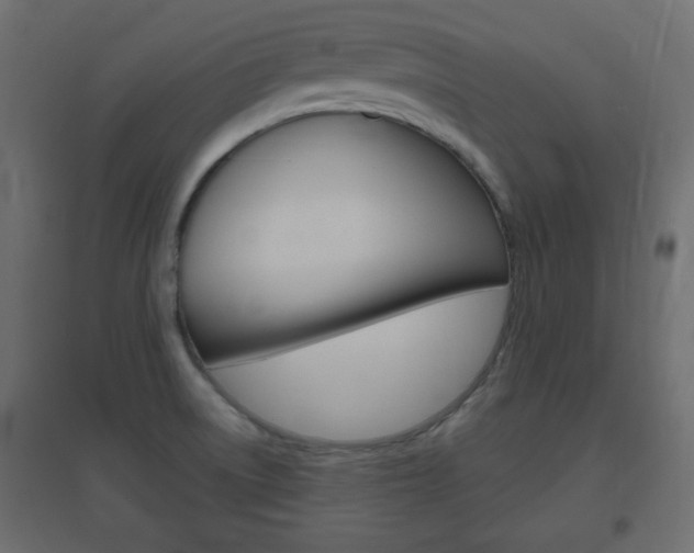 X0000096631522200802050921