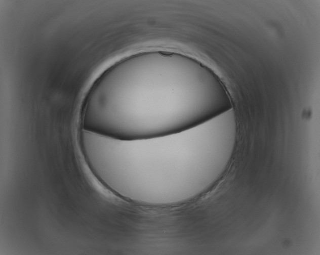 X0000096631523200802050921