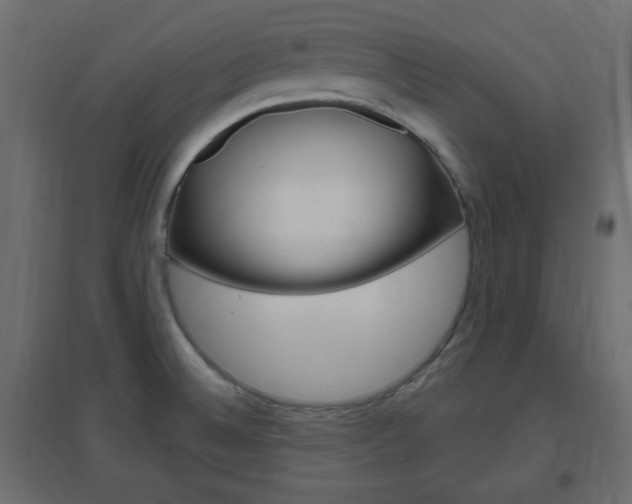 X0000096631524200802050921