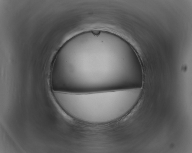 X0000096631525200802050921