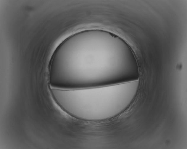 X0000096631527200802050921