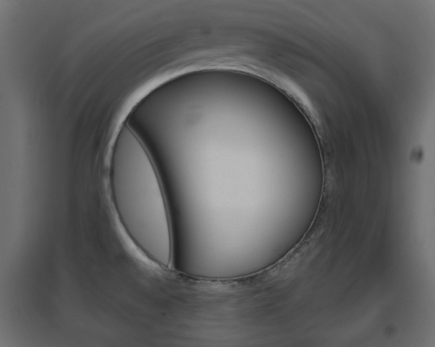 X0000096631528200802050921
