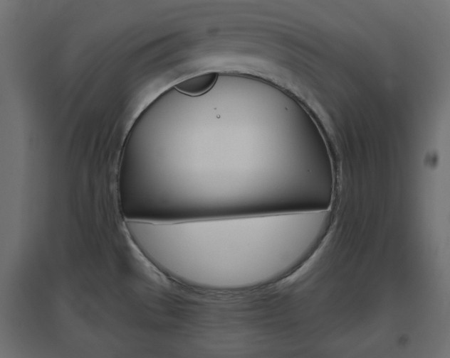 X0000096631529200802050921