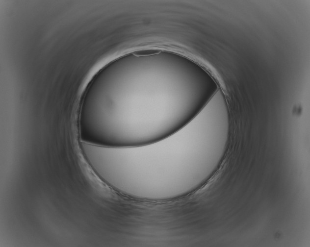 X0000096631530200802050921