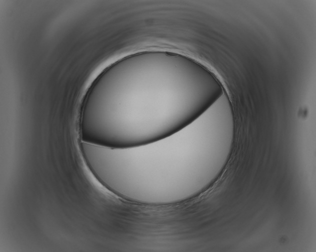 X0000096631531200802050921