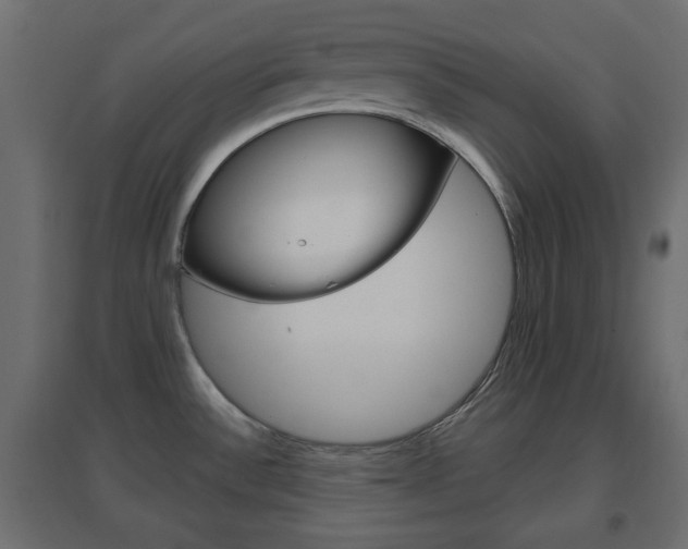 X0000096631532200802050921