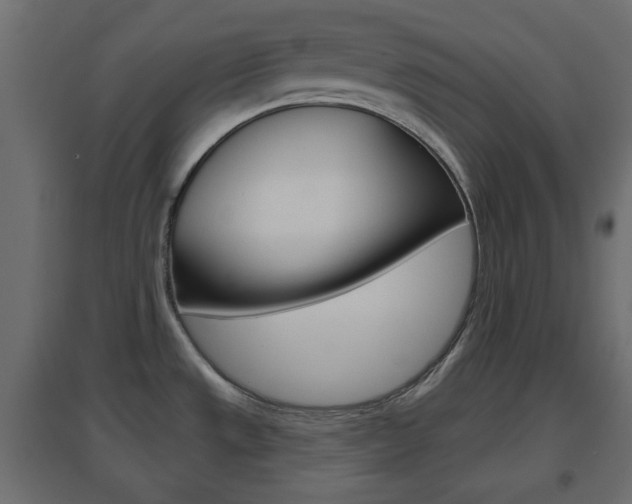 X0000096631533200802050921