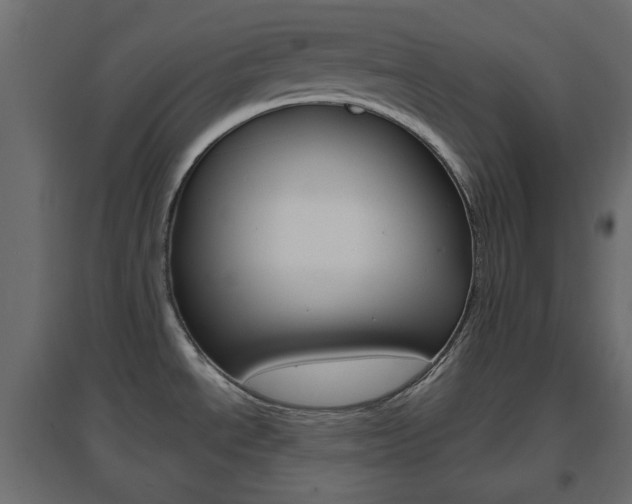 X0000096631534200802050921
