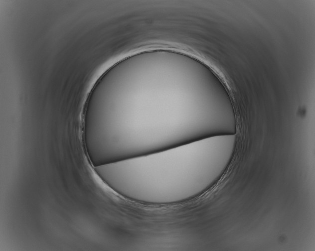 X0000096631535200802050921