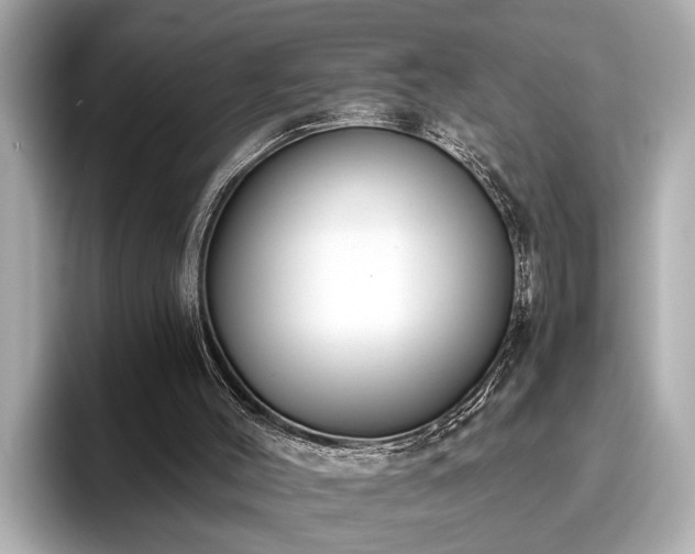 X0000096630004200802051117
