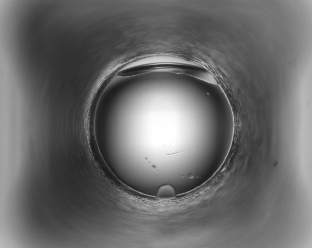 X0000096630006200802051117