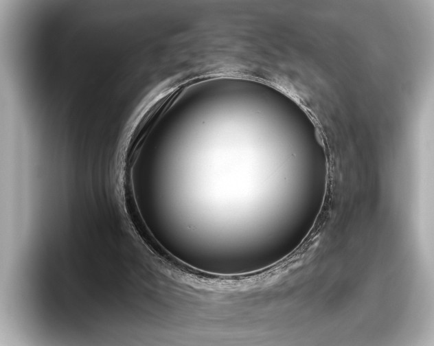 X0000096630007200802051117