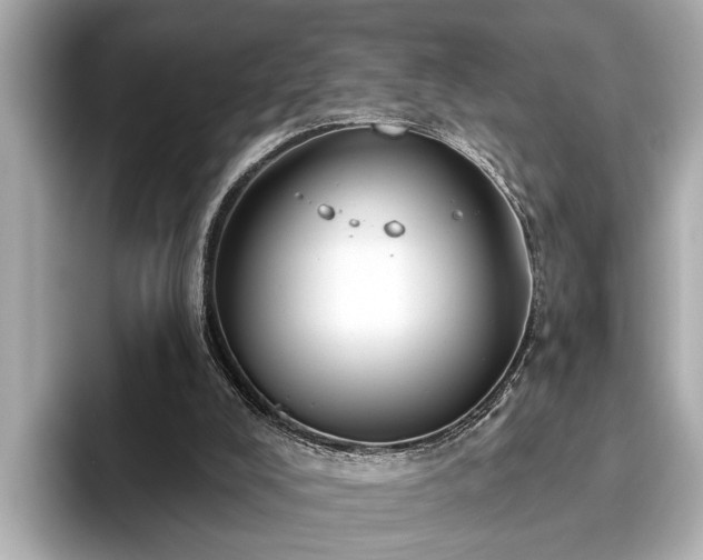 X0000096630008200802051117
