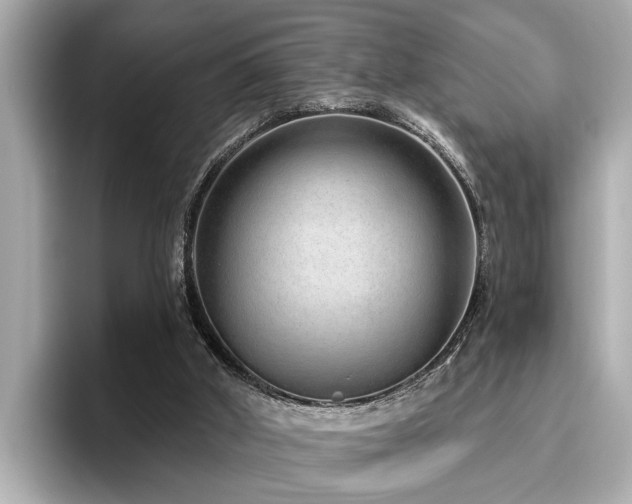 X0000096630010200802051117