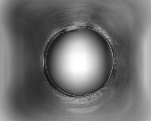 X0000096630011200802051117