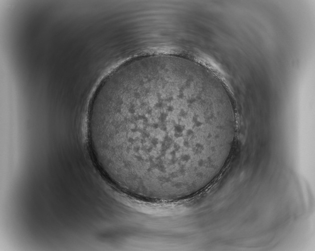 X0000096630012200802051117