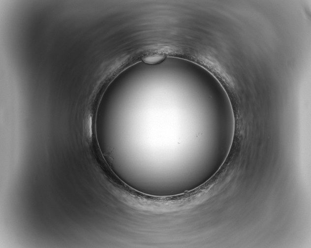 X0000096630014200802051116