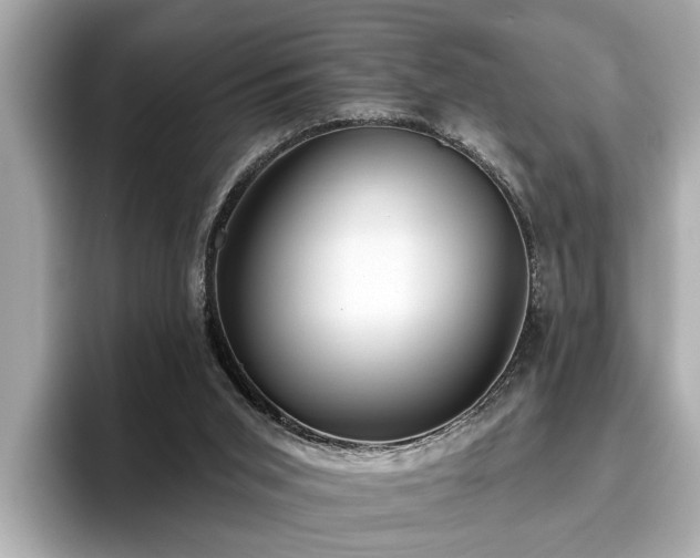 X0000096630015200802051116