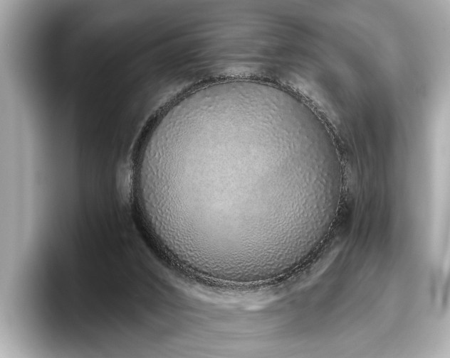 X0000096630016200802051116