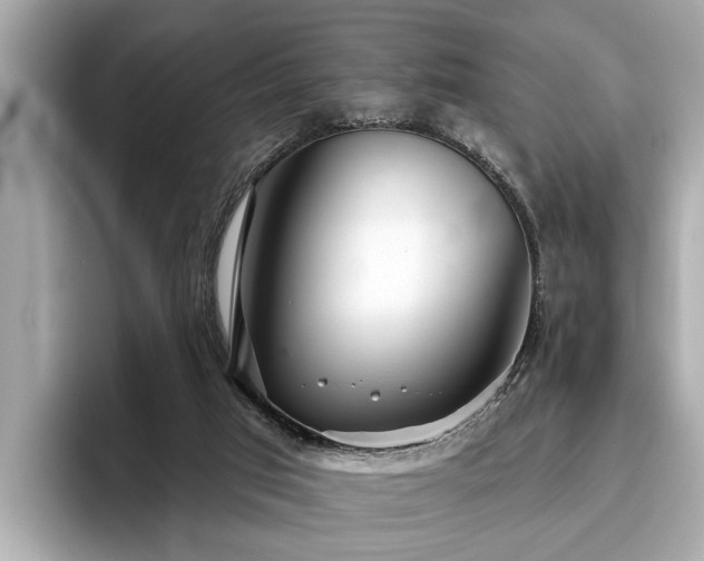 X0000096630017200802051116