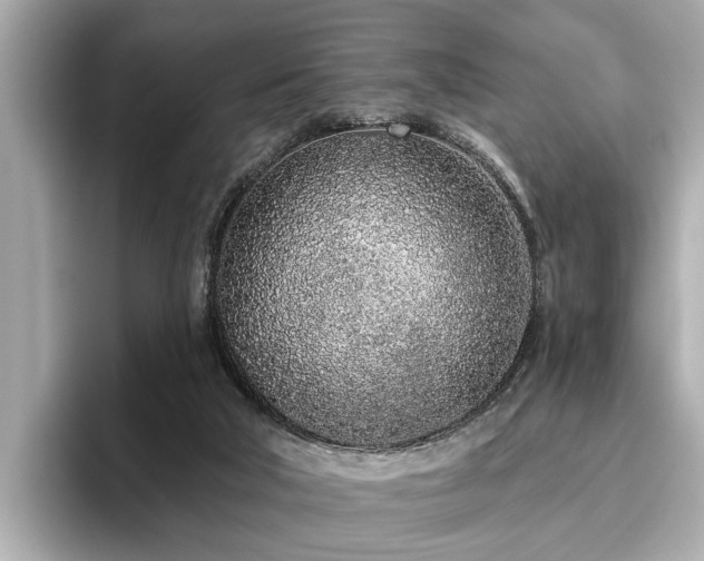 X0000096630018200802051116
