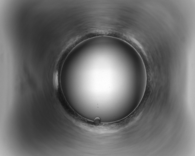 X0000096630020200802051116