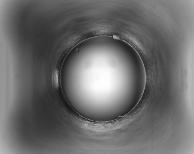 X0000096630022200802051116