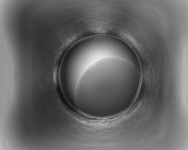 X0000096630023200802051116